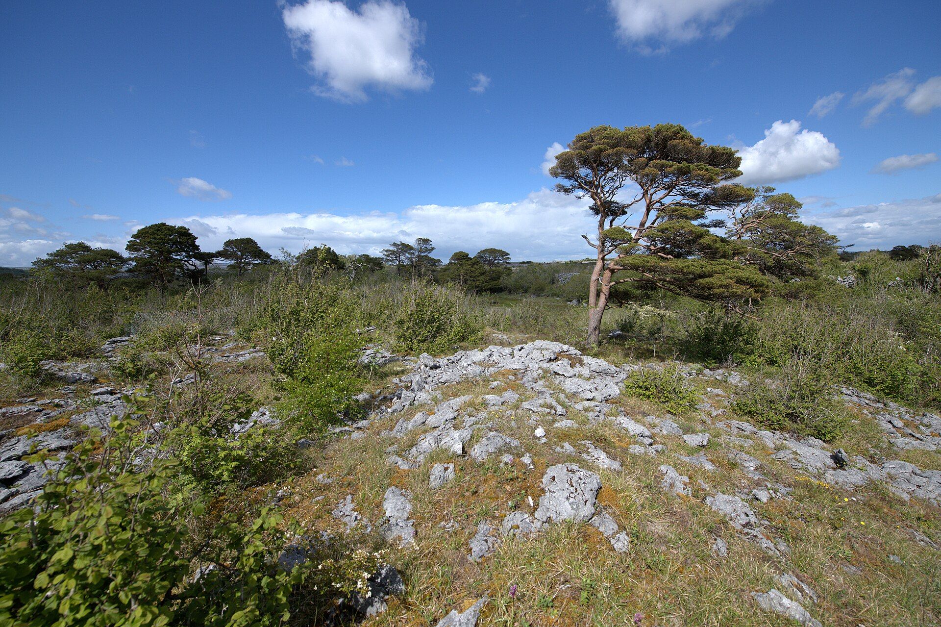 The Burren, County Clare, Ireland