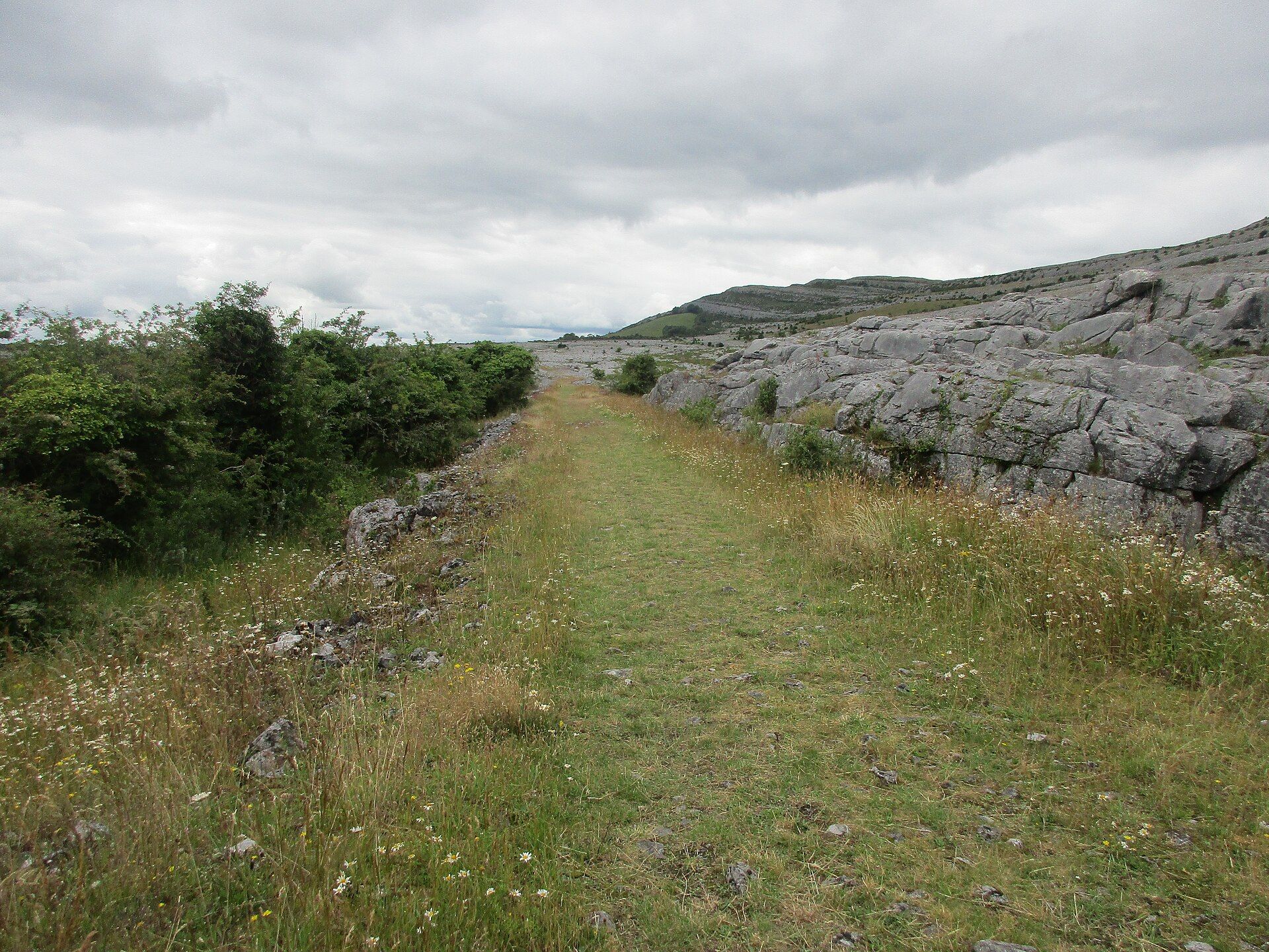 The Burren, County Clare, Ireland