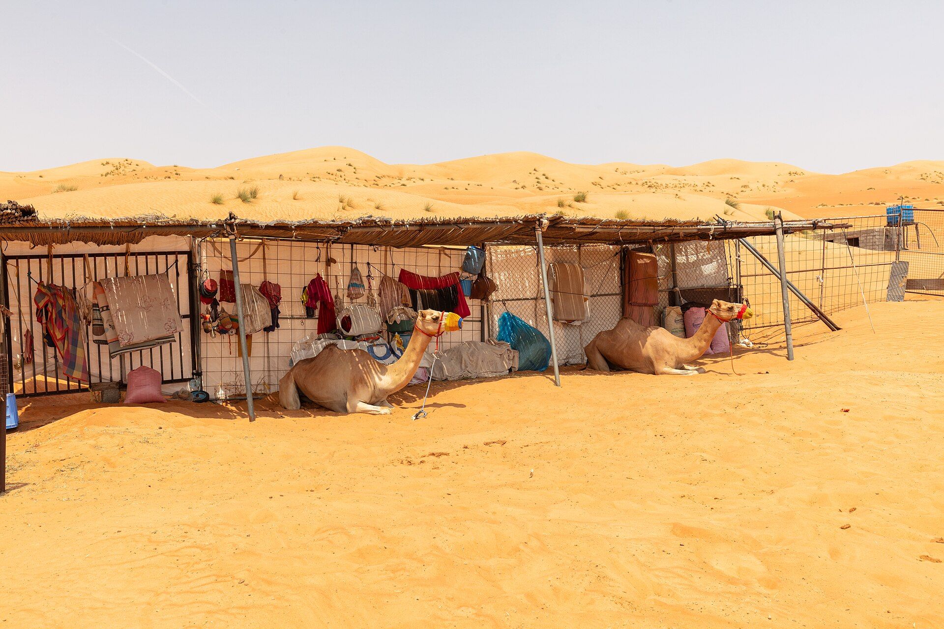 The Wahiba Sands, Ash Sharqiyah, eastern Oman