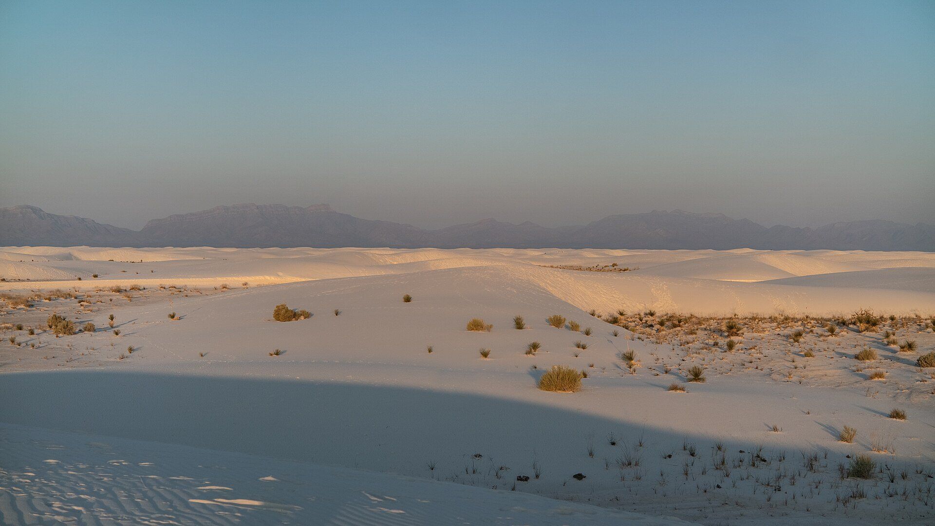 White gypsum dunes with clumps of grass in evening light, San Andres Mountains on the horizon, White Sands National Park, New Mexico
