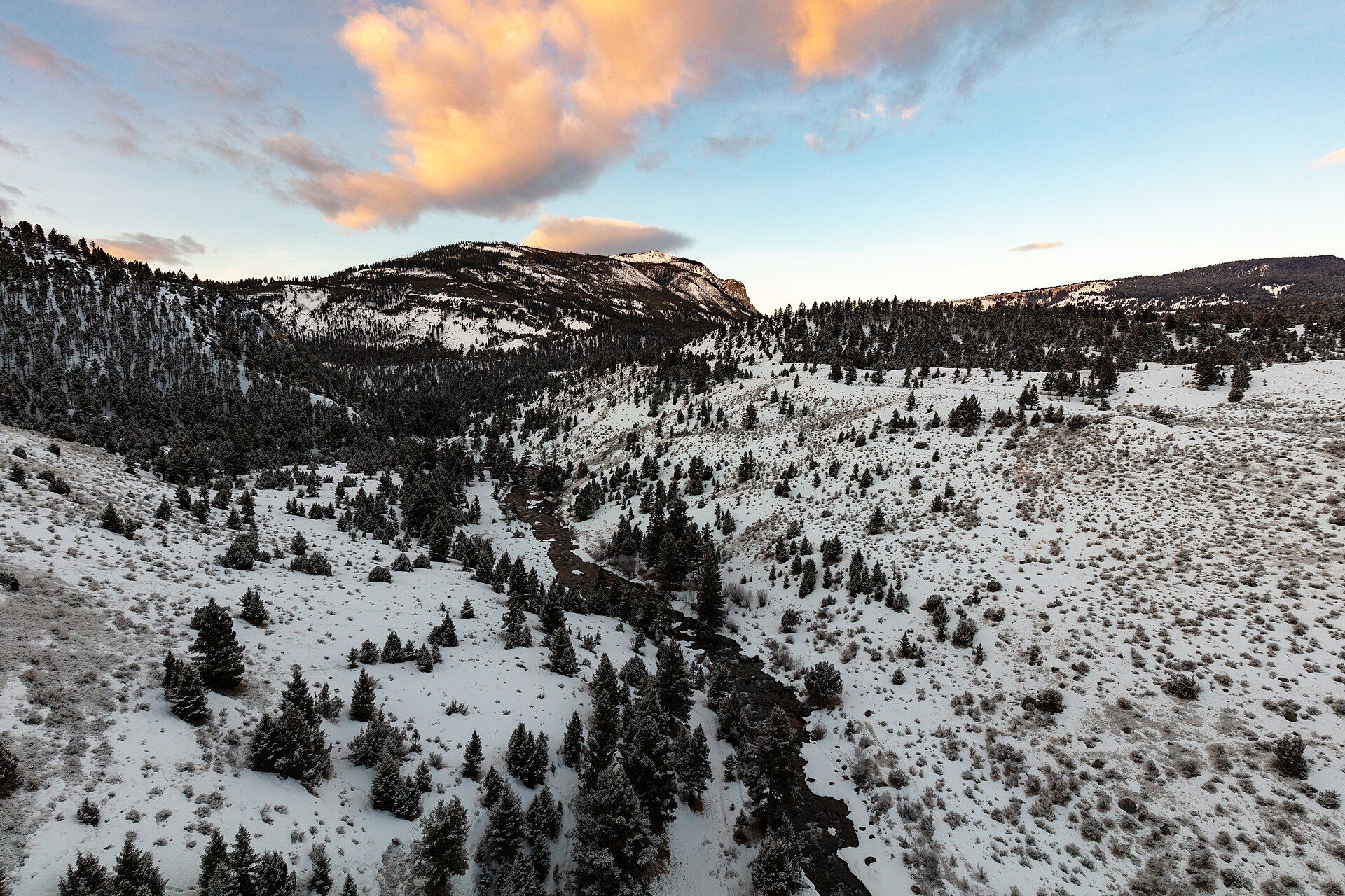 Yellowstone, Wyoming / Montana / Idaho, United States