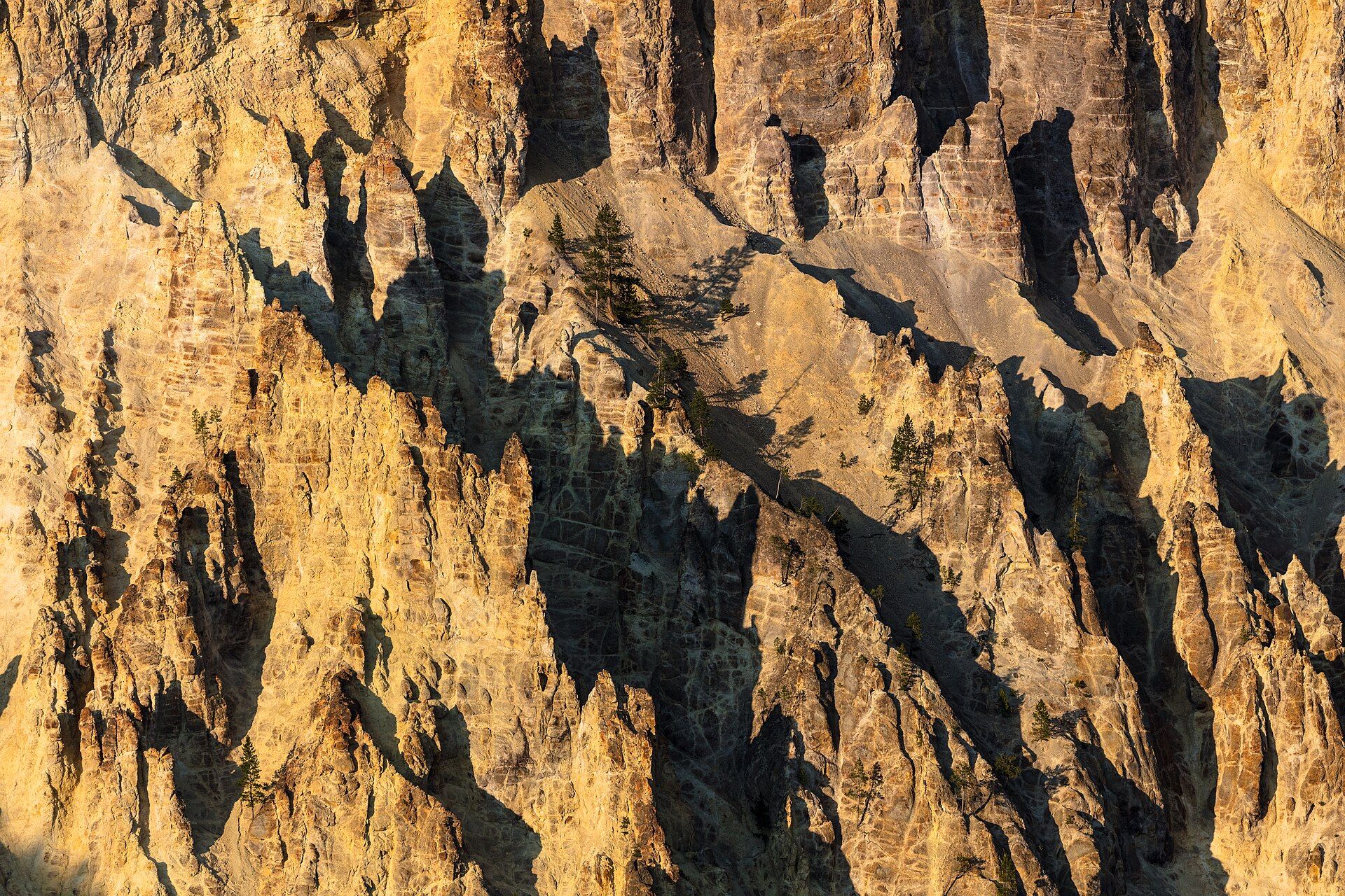 Yellowstone, Wyoming / Montana / Idaho, United States