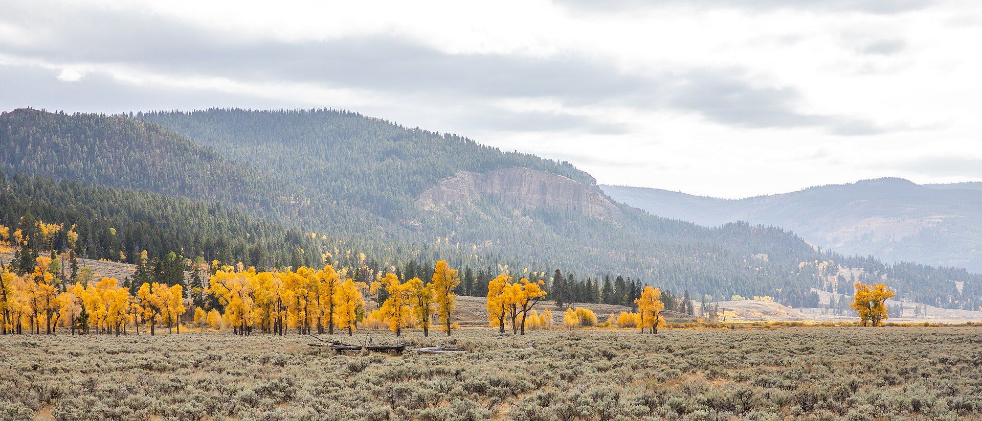 Yellowstone, Wyoming / Montana / Idaho, United States