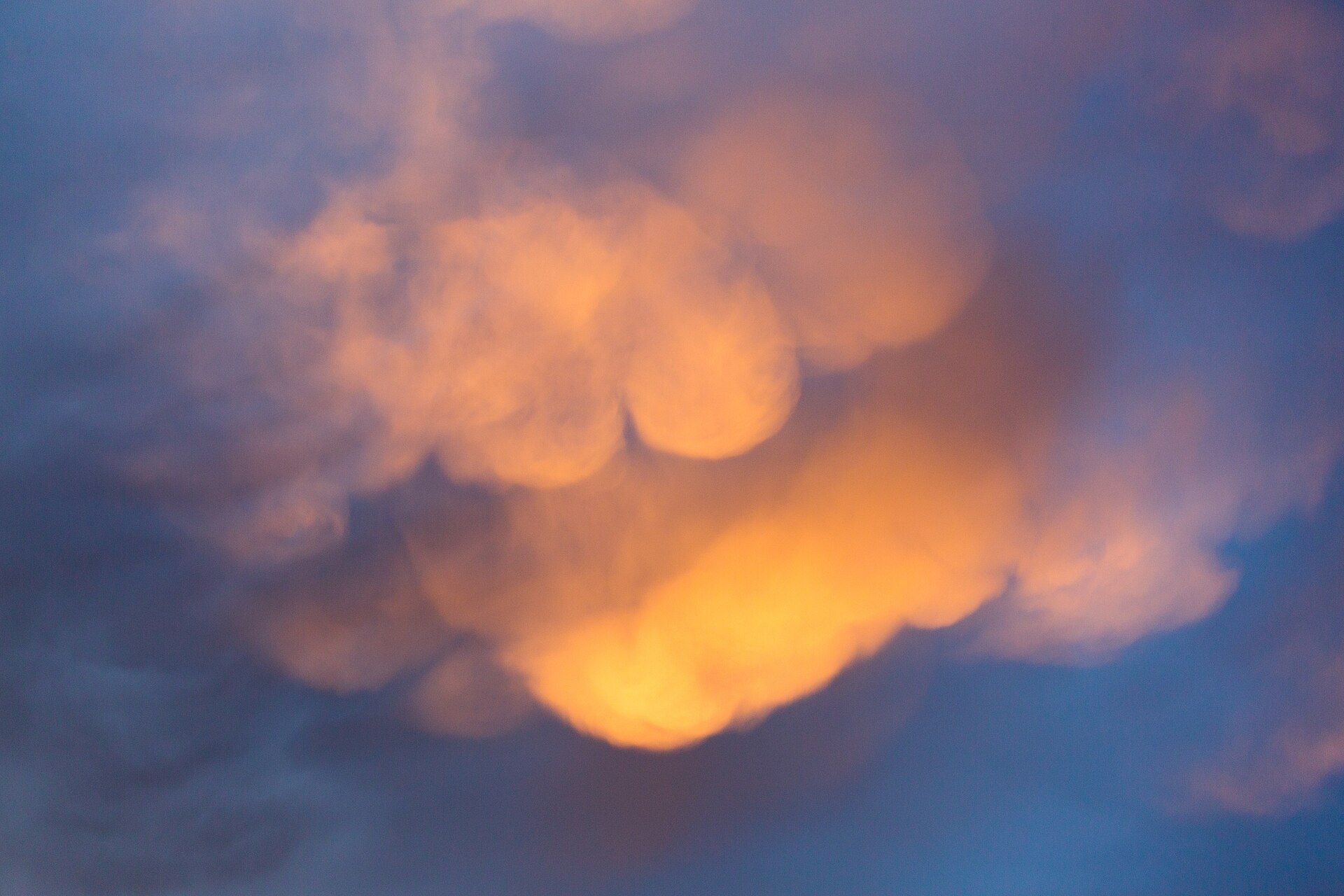 Yellowstone, Wyoming / Montana / Idaho, United States