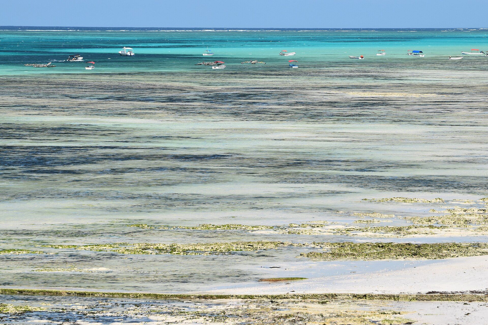 Zanzibar Archipelago, Indian Ocean, off the Tanzanian coast
